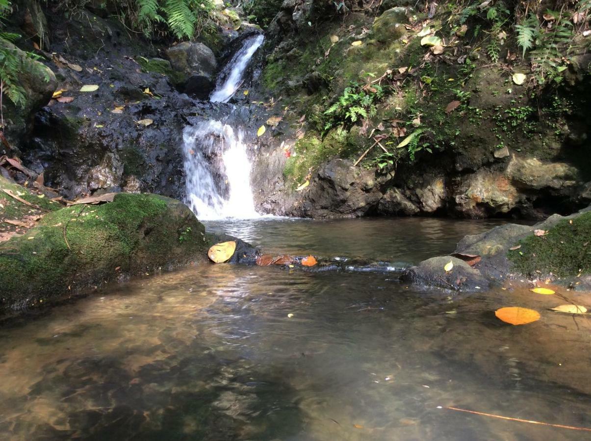 Natural Mystic Sanctuary Денияйя Экстерьер фото